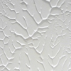 Native Tongue (a fresco)