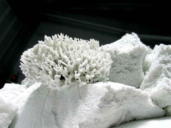 Eponges porcelaine