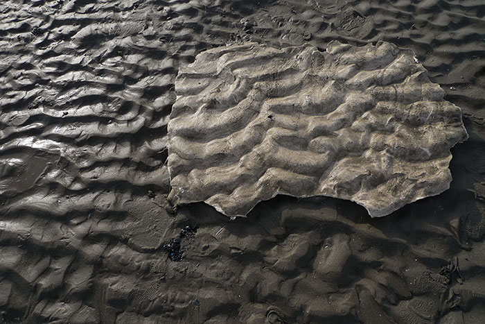 Thomas Tronel-Gauthier Le dernier terrain vague